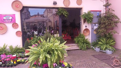 Hartmann richard fiori fiorista, Fiorista a Pula