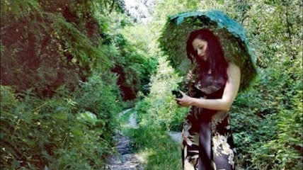 Fioreria Desiree, Fiorista a Crocetta del Montello