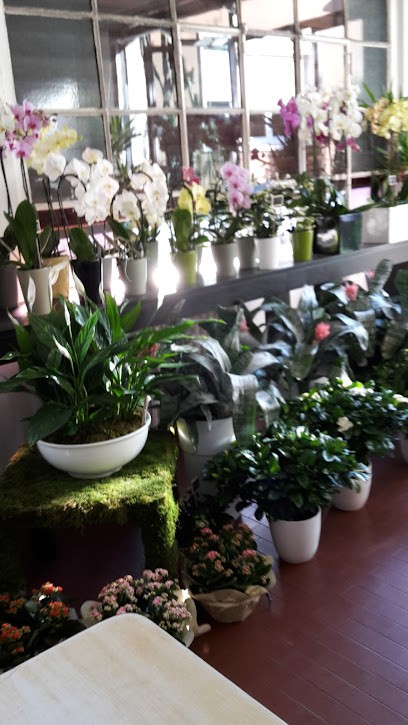 Santinami Fiori Snc, Fiorista a Meda