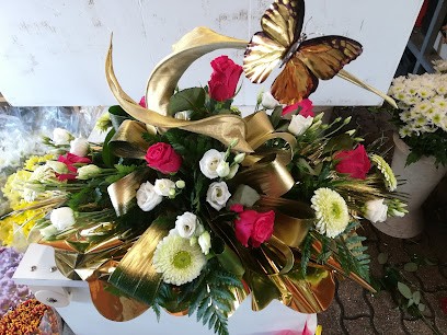 Anuska Piante & Fiori, Fiorista a Montelabbate