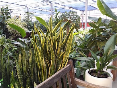 Hydro Ware srl, Fiorista a Alzano Lombardo