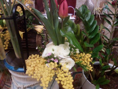 Il Tempio Dei Fiori Di Mascolo Maria Grazia, Fiorista a Barletta