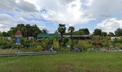 Flormarket Di Elena Iarca, Fiorista a Spilamberto