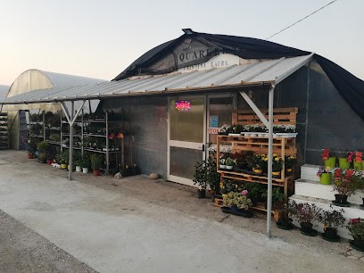 Floricoltura Fratelli Quarella - Ingrosso e dettaglio piante e fiori, Fiorista a Voghiera