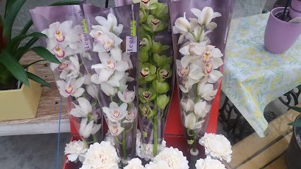 Spinazze' Ado Alberto, Fiorista a Mansuè