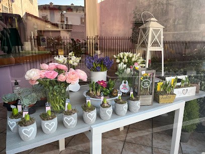 Flowers Cinzia, Fiorista a Nembro