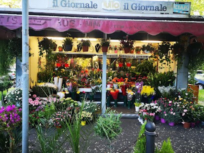 Fiori E Piante, Fiorista a Cologno Monzese