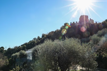 I Fiori Di Castel D'Appio, Fiorista a Ventimiglia