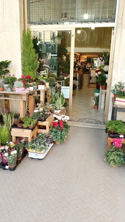 Fioristi Ghiandai, Fiorista a Arezzo