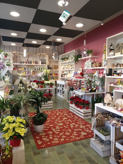 Fioreria Torreflor, Fiorista a Torrebelvicino