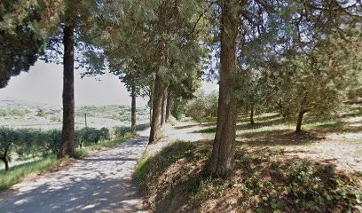 Floreale, Fiorista a Amelia