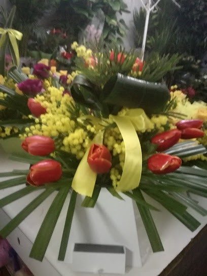 Oasi Fiorita Di Carmela Varone, Fiorista a Santa Maria Capua Vetere