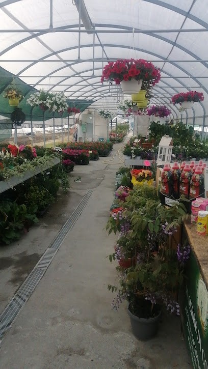 Le Serre di Cornale, Fiorista a Cornale e Bastida