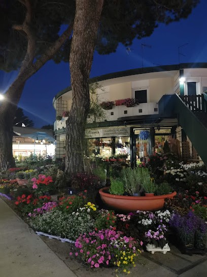 Fioreria Sogno Verde, Fiorista a Lignano Sabbiadoro