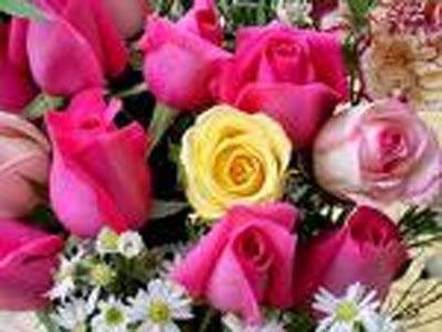 Fioreria L'Orchidea - Onoranze Funebri Lorenzon, Fiorista a Ormelle