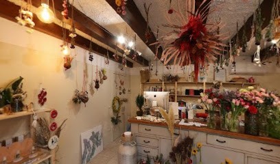 Lady - Il Linguaggio Segreto Dei Fiori, Fiorista a Savignano sul Rubicone