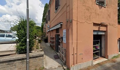 Piante E Fiori Christian Creazioni, Fiorista a Genzano di Roma