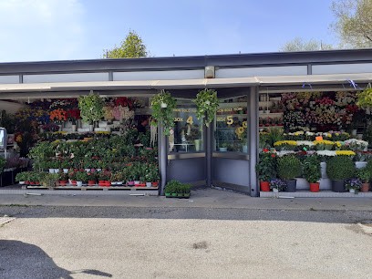 Non Solo Fiori Di Paolo Corneli & C. Sas, Fiorista a Roma