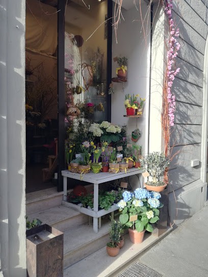 Nel Meriggio D'Oro, Fiorista a Firenze