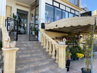 La Volpe Store, Fiorista a Montegiordano