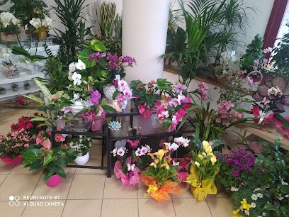 Fioreria (La Bottega Fiorita), Fiorista a San Giorgio di Nogaro