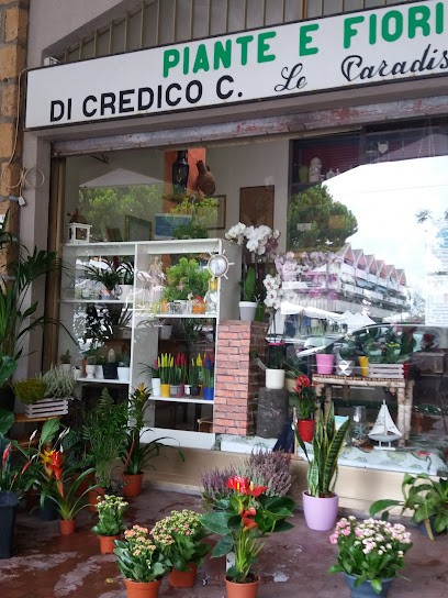Fiorista Cinzia Di Cinzia Di Credico, Fiorista a Francavilla al Mare