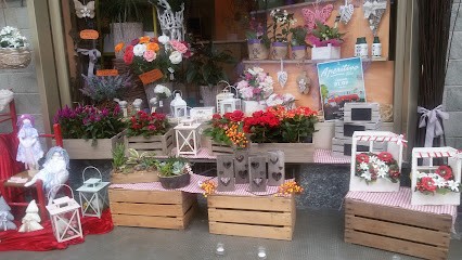 Fantasia Di Fiori, Fiorista a Robilante