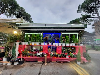 I Fiori Di Valeria, Fiorista a Roma