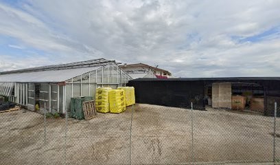 Zanella Antonio Floricoltura, Fiorista a Malo