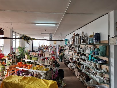 Lineaverde, Fiorista a Caselle Torinese