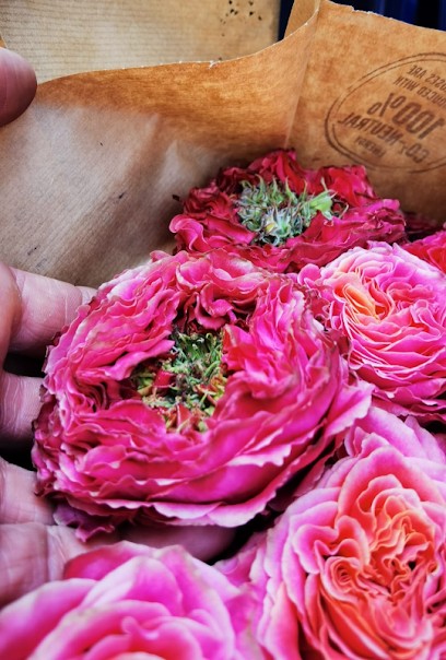 D.B. Fiori E Piante, Fiorista a Messina