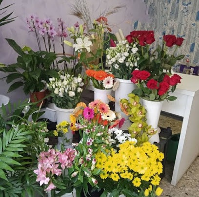 Sabry Fiori, Fiorista a Torino