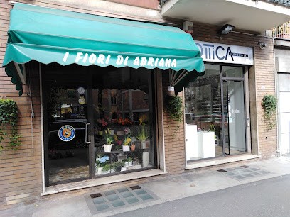 I Fiori Di Adriana Di Rastelli Simonetta & C. Snc, Fiorista a Parma