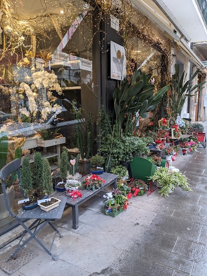 Vecoli Giovanni, Fiorista a Viareggio