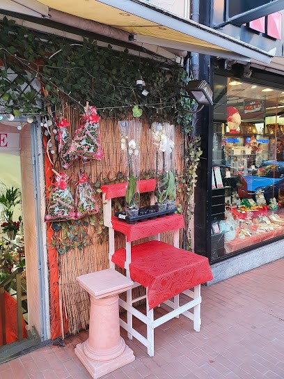 Rose Service, Fiorista a Ventimiglia