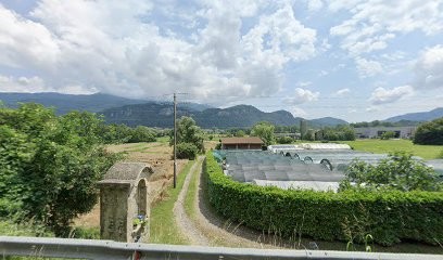 Azienda Floricola Brambilla Flavia, Fiorista a Airuno