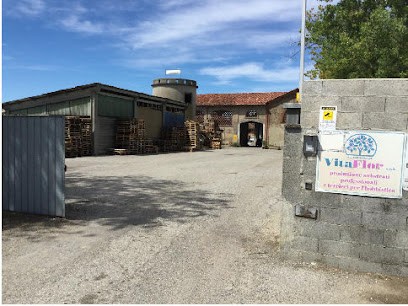 Vitaflor | Produzione E Vendita Di Torbe, Terricci E Substrati, Fiorista a Codogno