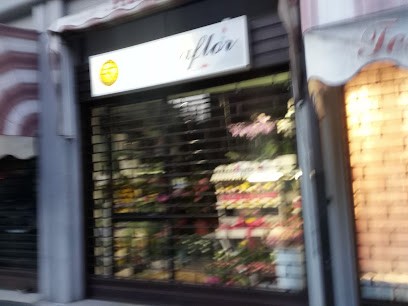 Primaflor Di Menozzi Nadia, Fiorista a Reggio nell'Emilia