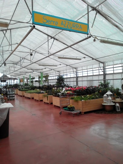 Società Agricola Floricoltura Zonato, Fiorista a San Bonifacio