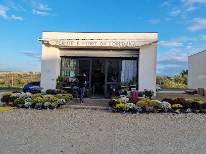 Piante E Fiori Di Fede Loredana, Fiorista a Modica
