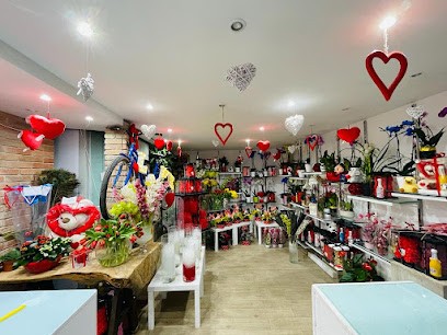 Medinilla Flowers Di Zangara Salvatore, Fiorista a Monreale