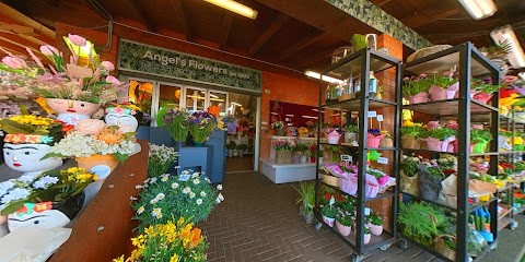 Il Chiosco Angel'S Flowers, Fiorista a Novara