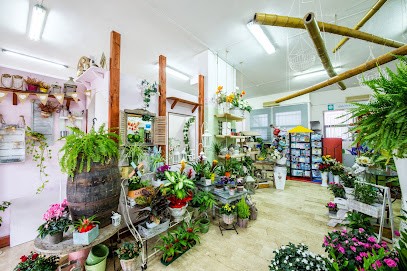 Simona Wedding Flowers Fiori E Piante, Fiorista a Quartucciu