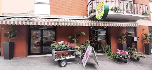 Tomassetti Piante E Fiori, Fiorista a Macerata