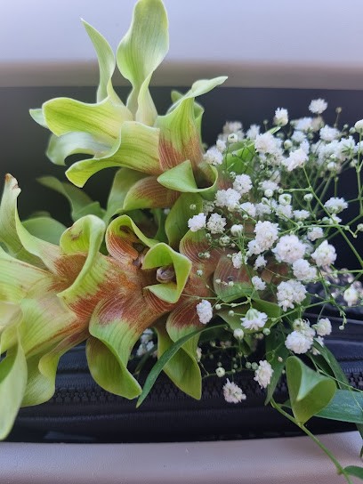 La Rosa Blu di Vittorio Longobardi, Fiorista a Castellammare di Stabia