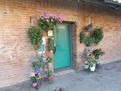 Fiori Online Fiorista Jack Di Fiori Di A. Cialdini Consegna Fiori E Piante A Domicilio A Siena, Fiorista a Siena
