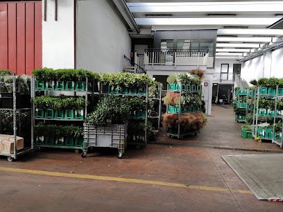 8 Luoghi Flor Società Cooperativa Agricola, Fiorista a Sanremo