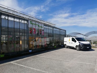 SPAZIO VERDE, Fiorista a San Stino di Livenza