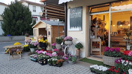 Fresh Plants Love Life, Fiorista a Voghiera
