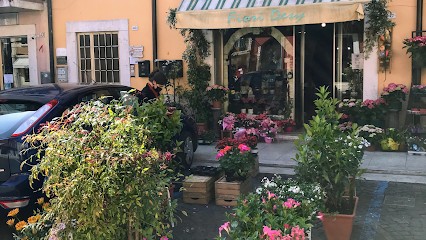 Fioreria Da Desy, Fiorista a Negrar